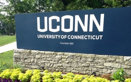uconn sign with purple flowers
